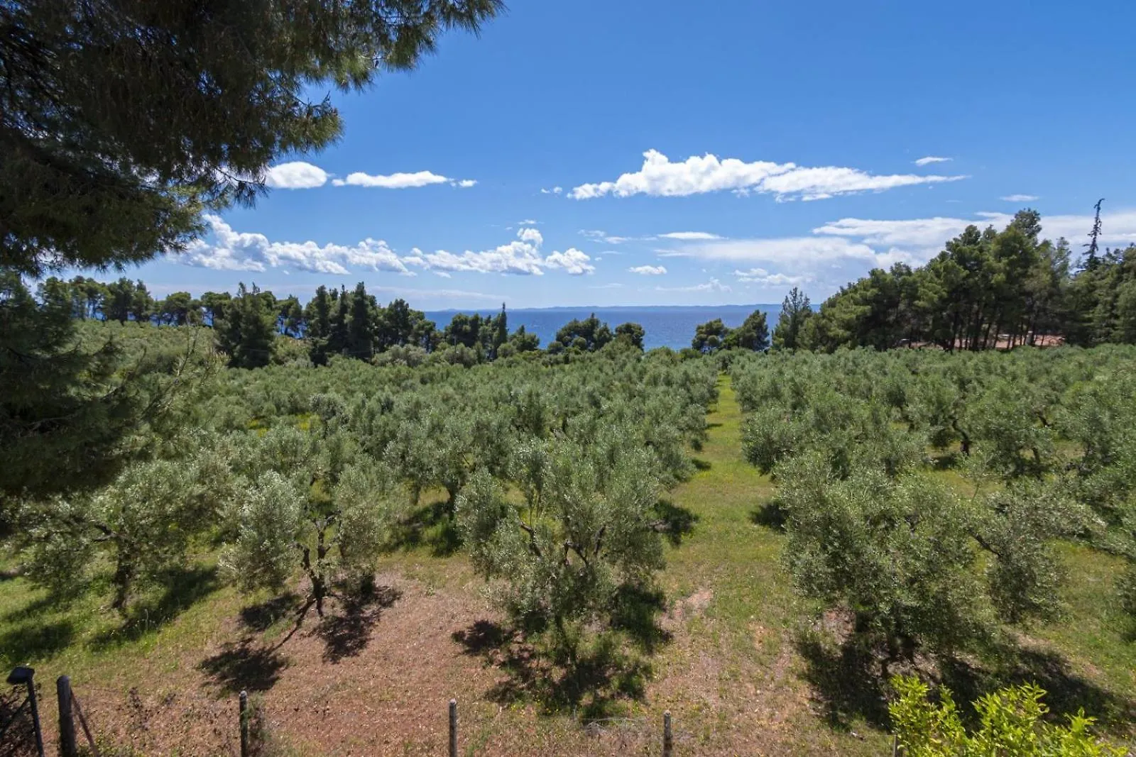 Holiday home Villa Elva By Rentalspro - Metamorfosi Halkidiki